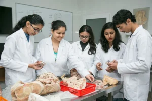 Why Russia is Best for Studying MBBS?